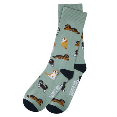 Cavoodle Socks by Dapper Roo